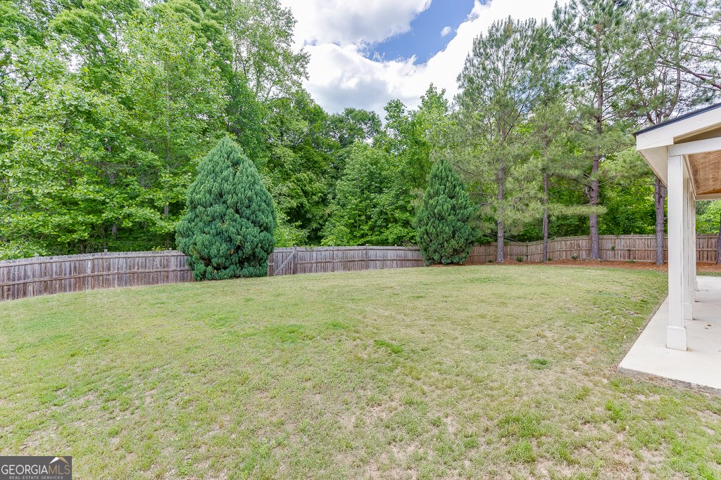 9565 Rushmore Circle Braselton - 49