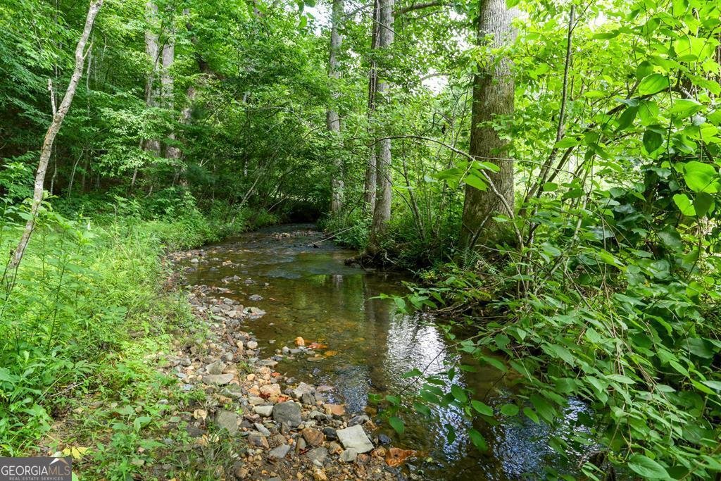 605 Owl Creek Road Hiawassee - 28