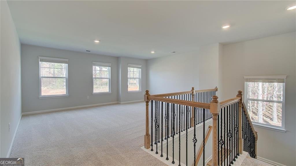 76 Homesite Dulles Drive Mcdonough - 22