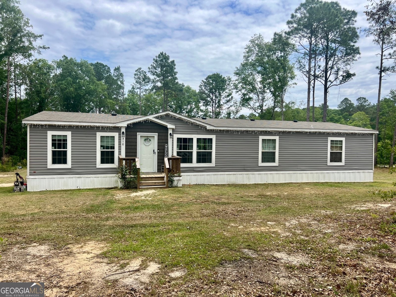 310 Magnolia Bluff Drive Metter - 1