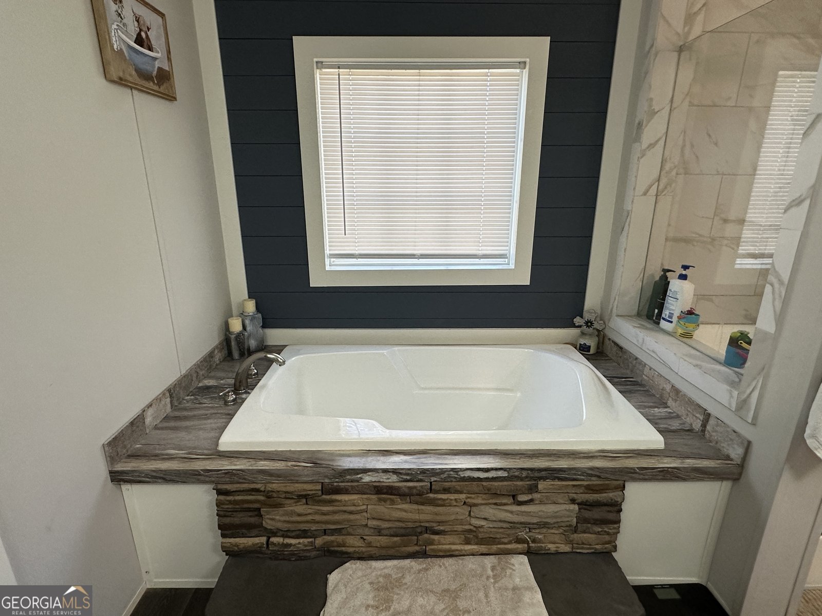 310 Magnolia Bluff Drive Metter - 14