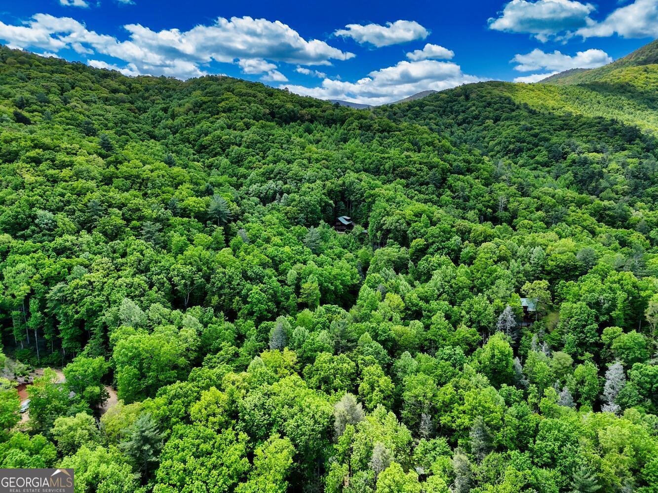 46 Evening Shade Blairsville - 32