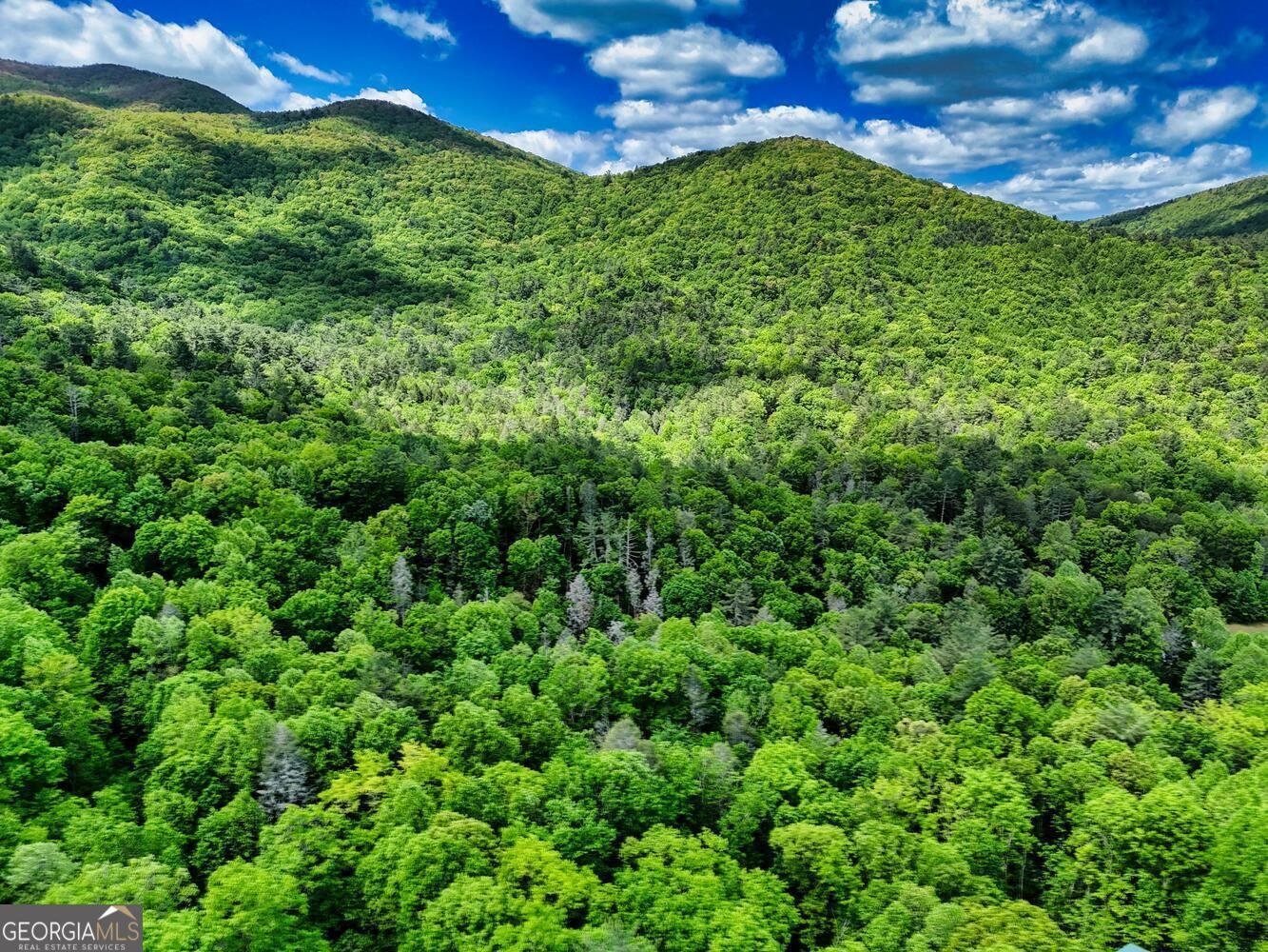 46 Evening Shade Blairsville - 33