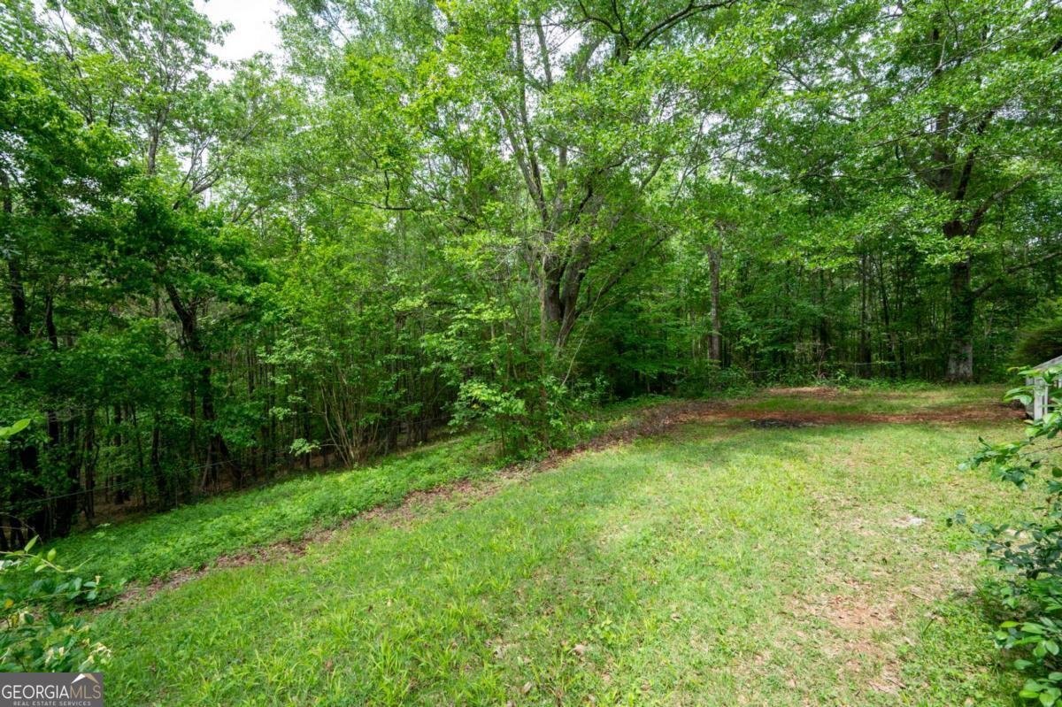 2620 High Shoals Road Dallas - 34