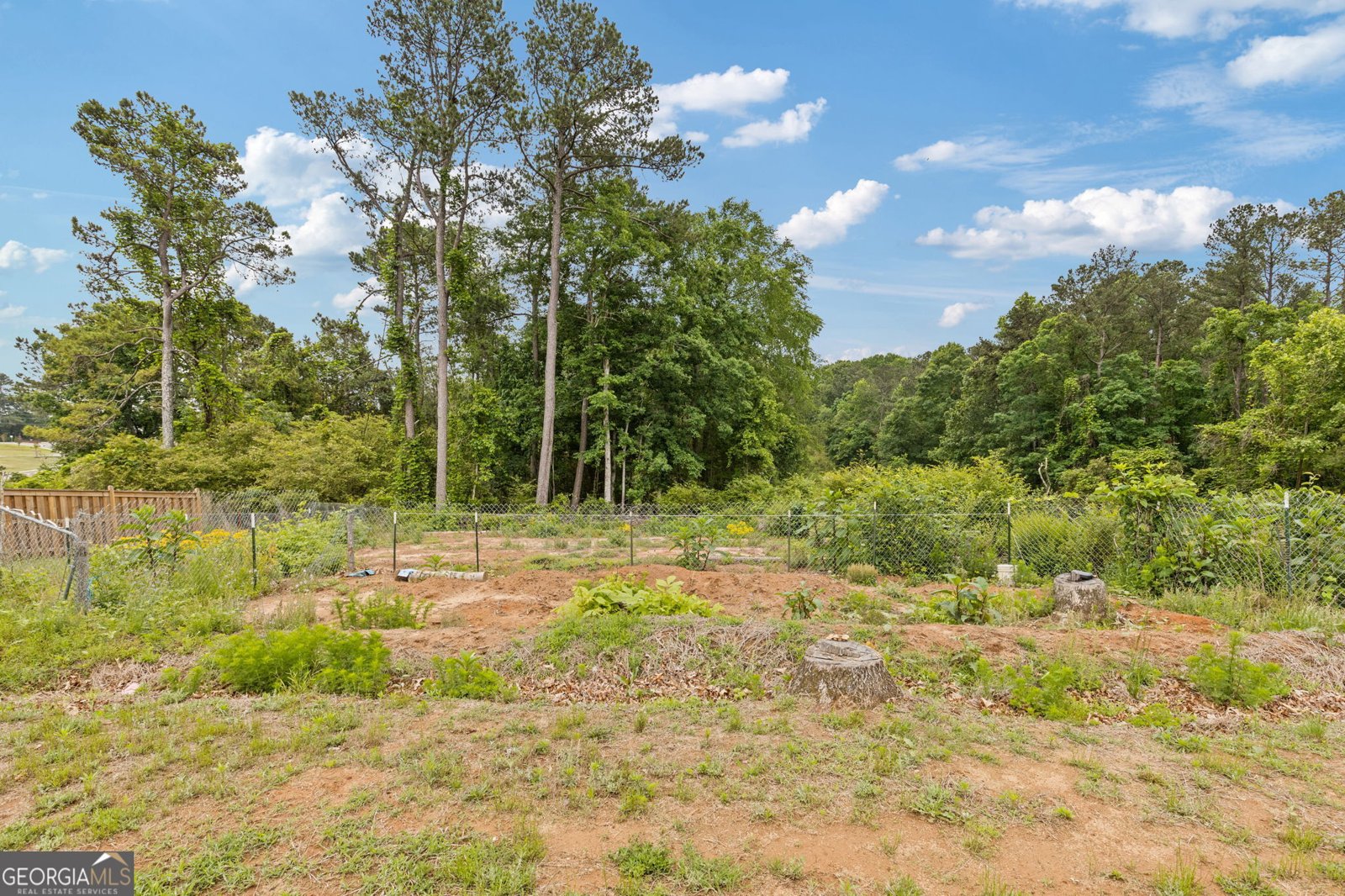 294 Ralph Still Road Dacula - 46