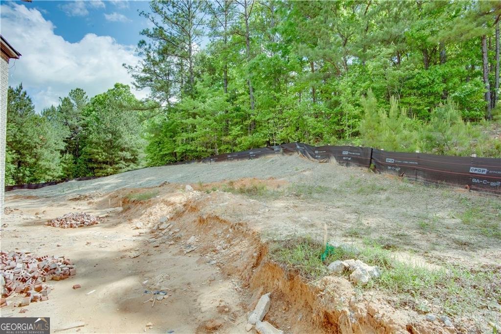 4222 Matisse Lane Fairburn - 31