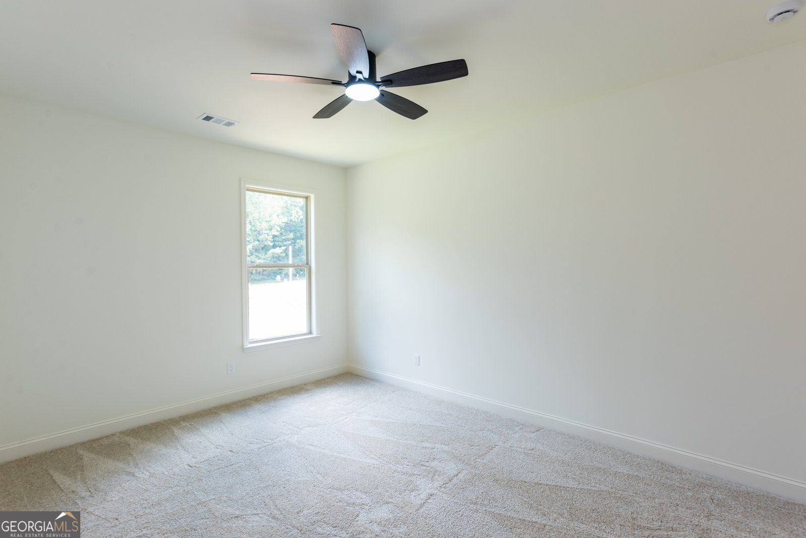 4222 Matisse Lane Fairburn - 55