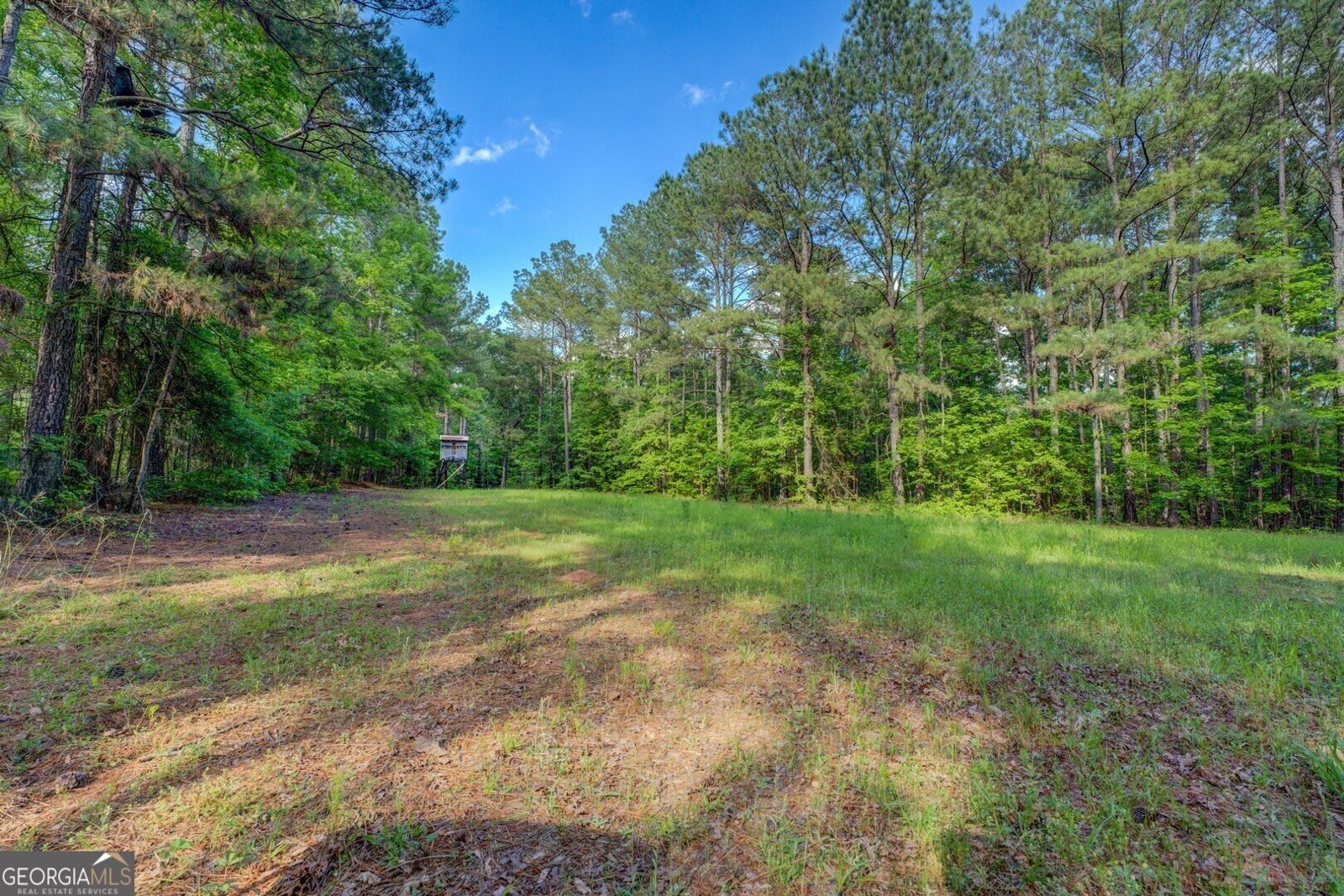 20207 Ga Highway 11 Monticello - 154