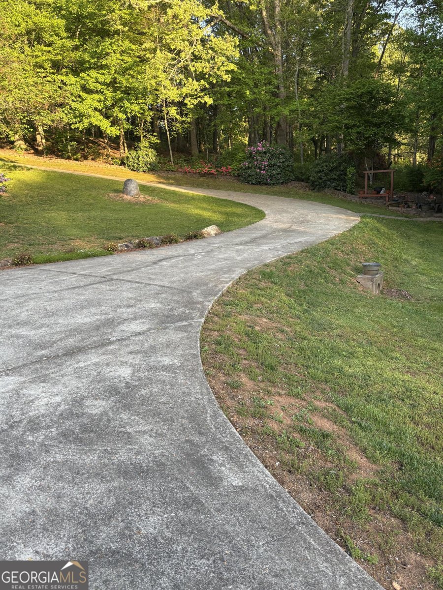 218 Burt Nix Road Blairsville - 34