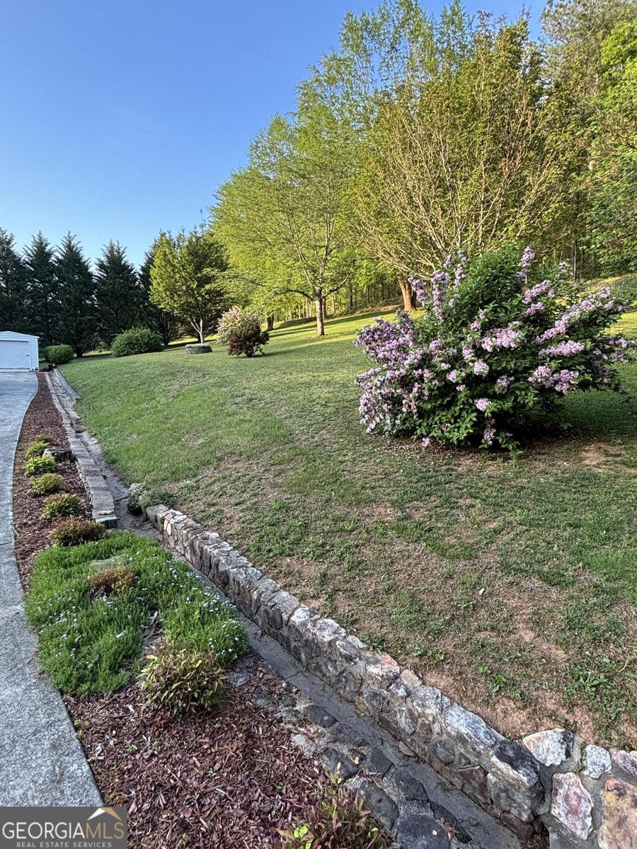 218 Burt Nix Road Blairsville - 45