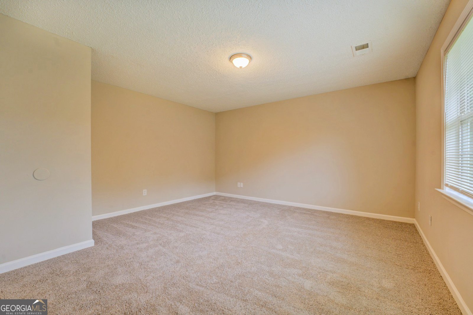126 Usher Lane Covington - 22