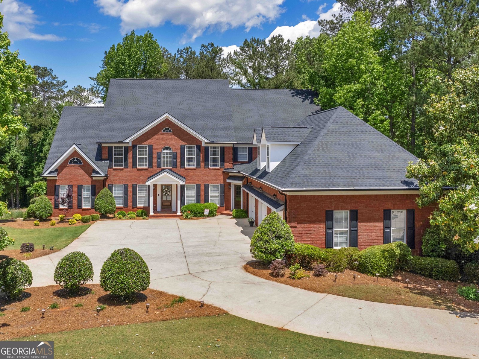219 Eagles Landing Way McDonough - 1