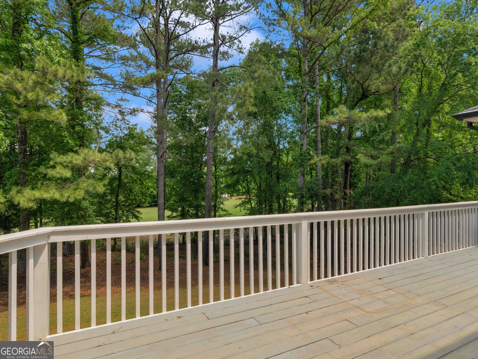 219 Eagles Landing Way McDonough - 72