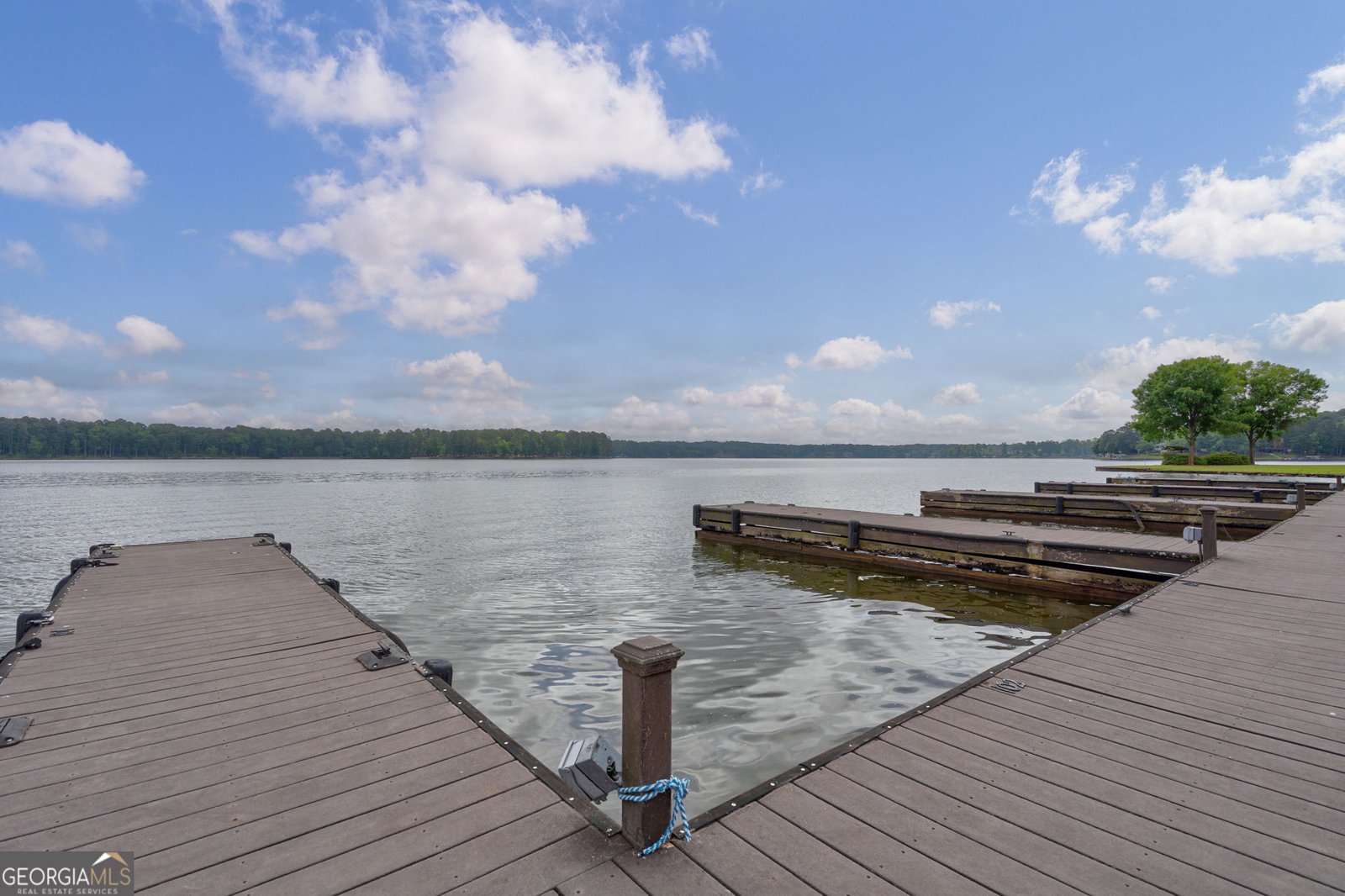 175 Lakeview Drive Eatonton - 60
