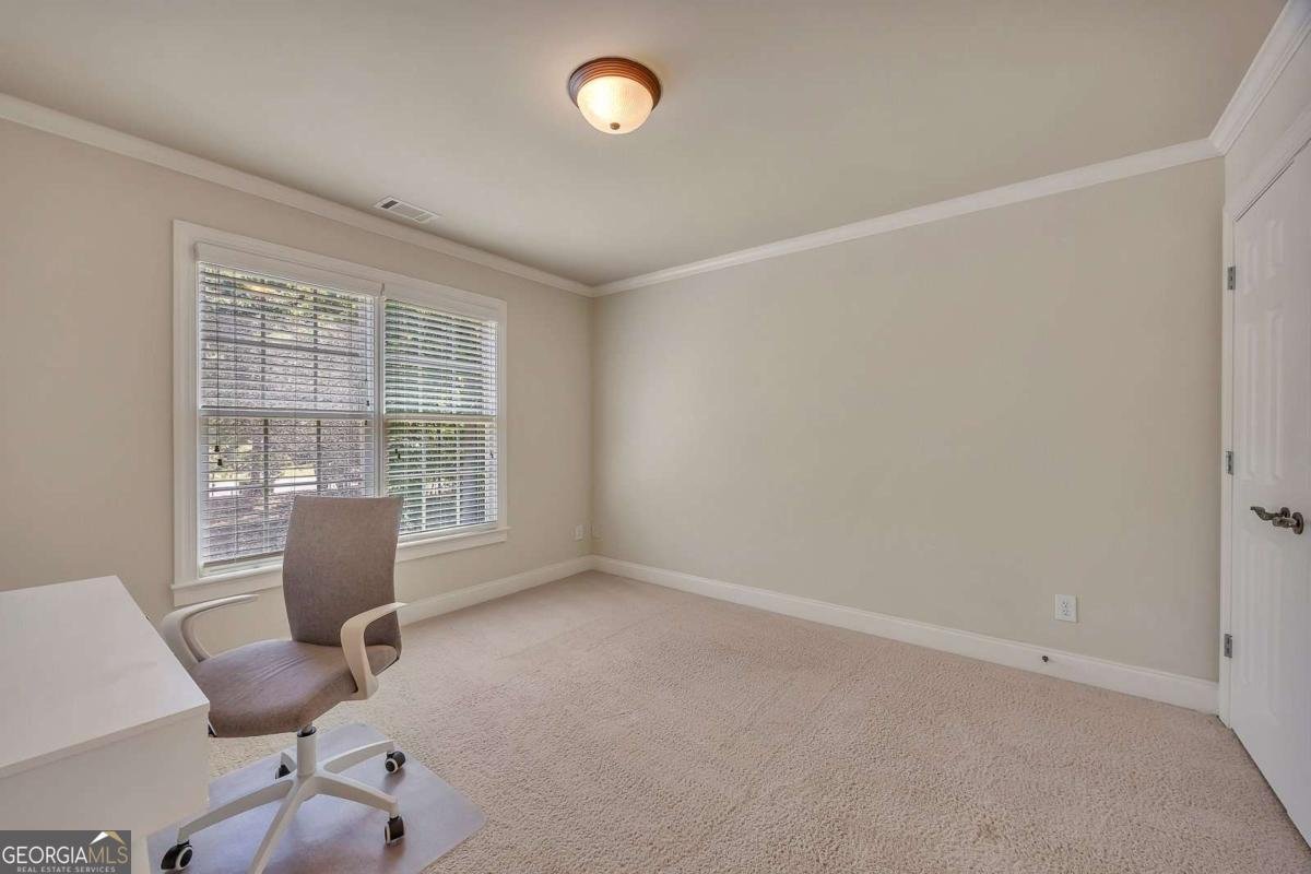223 Davis Mill Road Ball Ground - 18