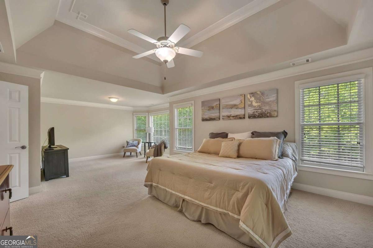 223 Davis Mill Road Ball Ground - 22
