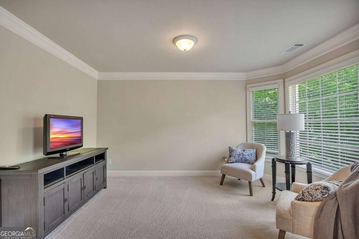 223 Davis Mill Road Ball Ground - 24