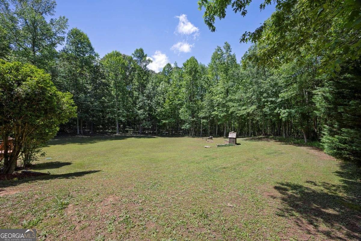 223 Davis Mill Road Ball Ground - 47