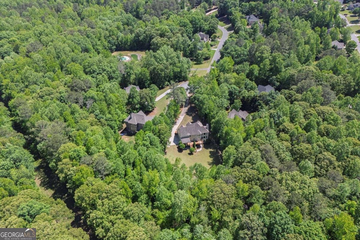 223 Davis Mill Road Ball Ground - 50