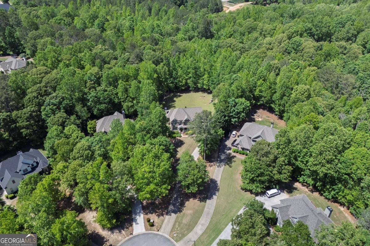 223 Davis Mill Road Ball Ground - 51