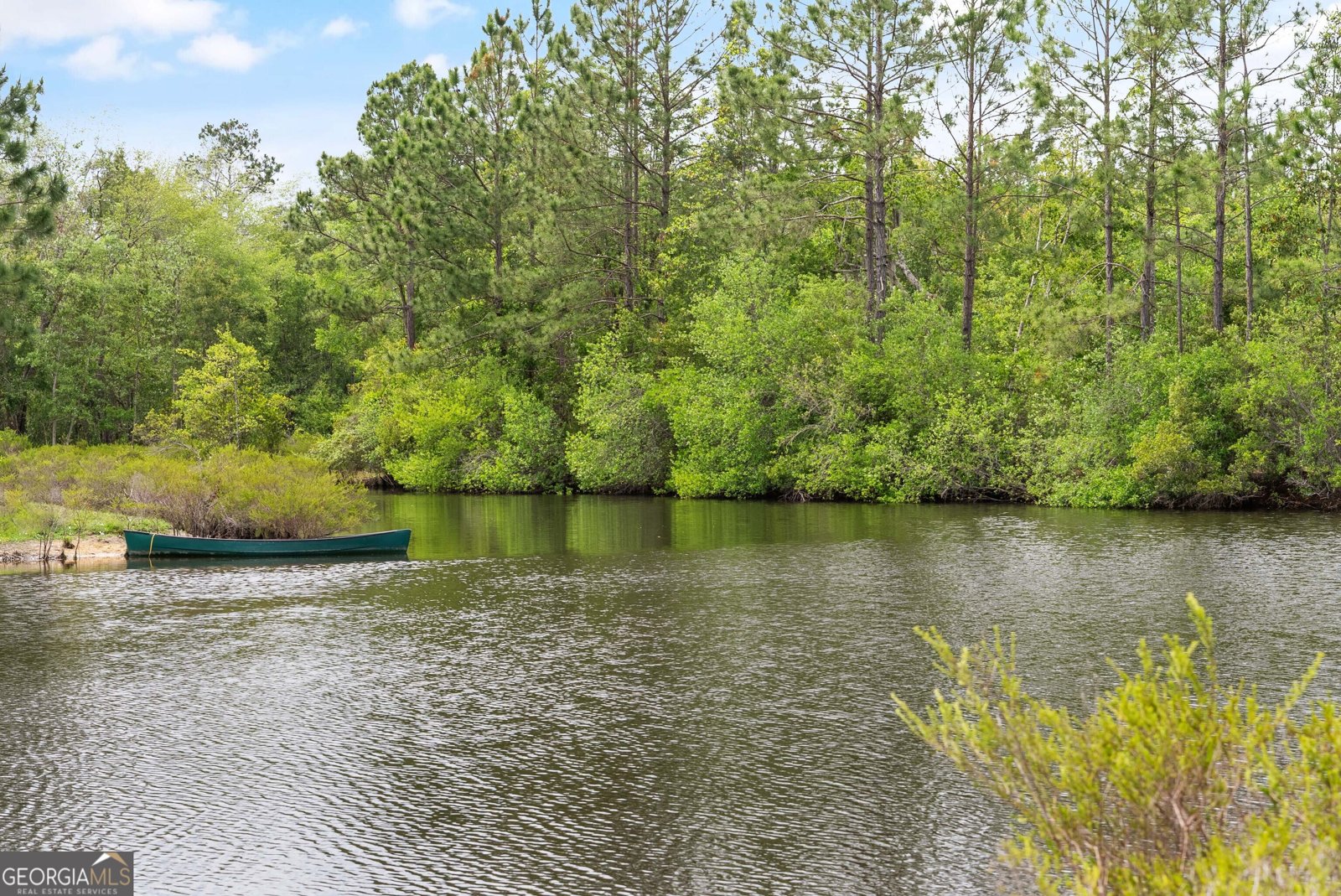 52 Rio Bravo Road Nahunta - 64