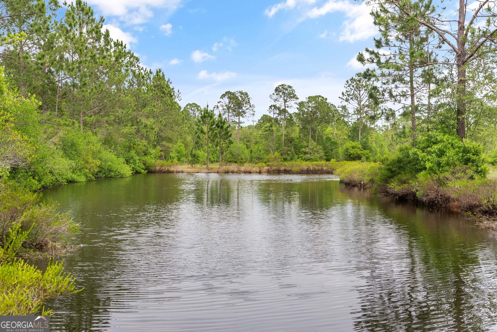 52 Rio Bravo Road Nahunta - 65