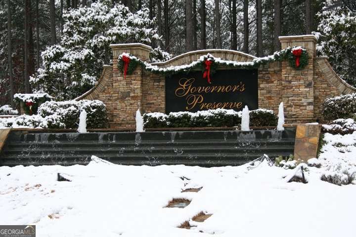 302 Gilmer Court Canton - 19