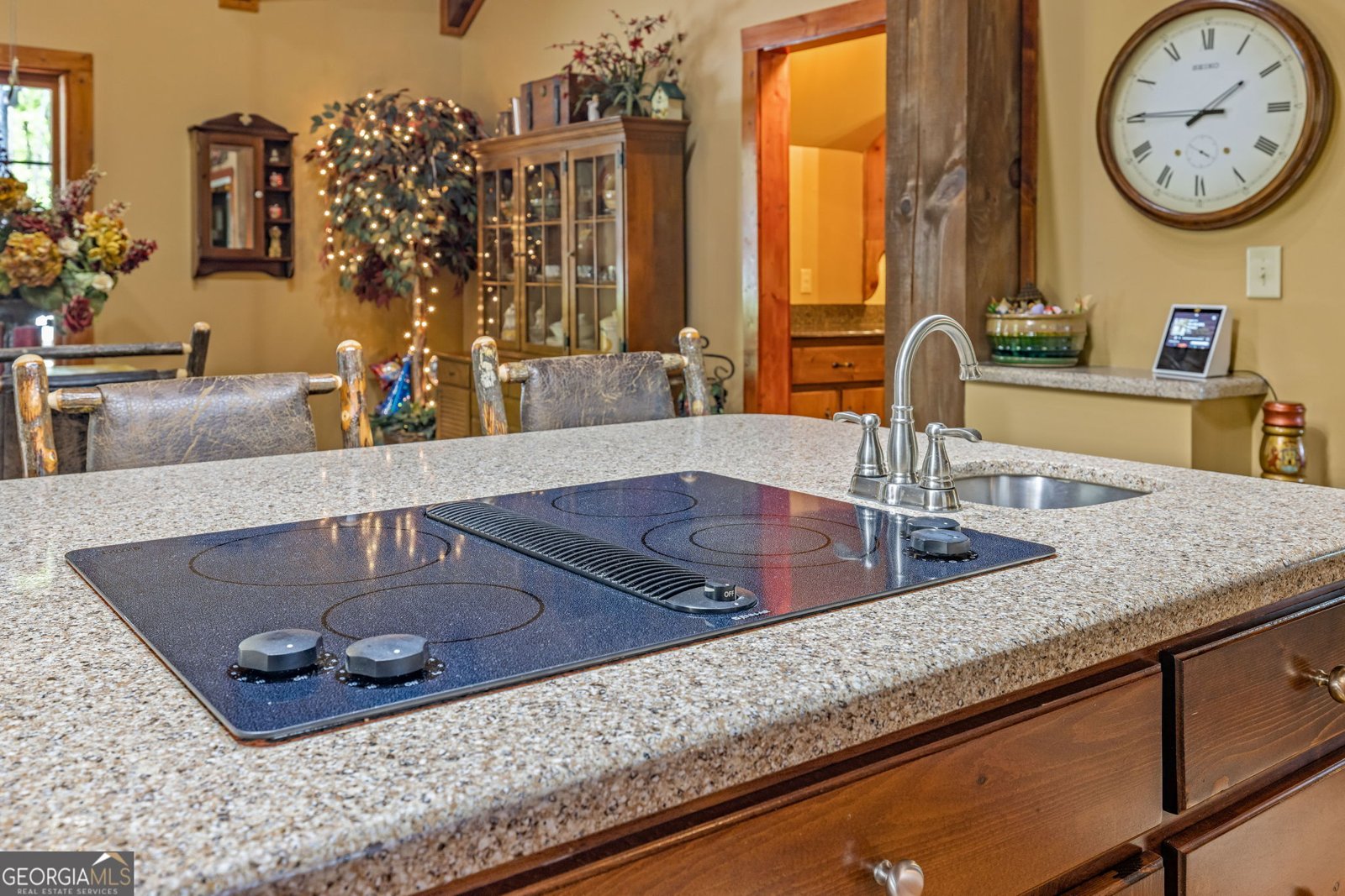 259 Eagle Chase Circle Dillard - 25