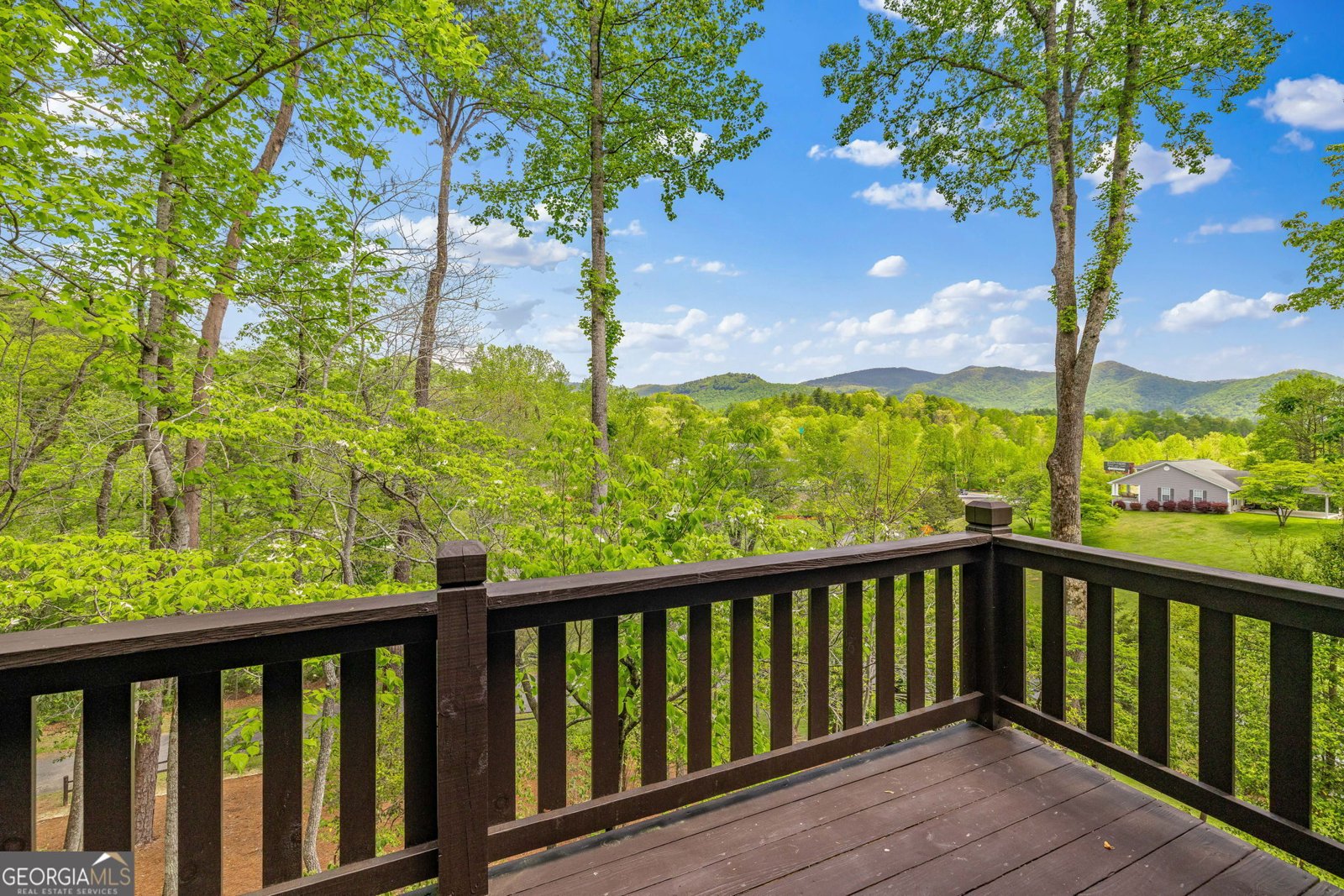 259 Eagle Chase Circle Dillard - 45