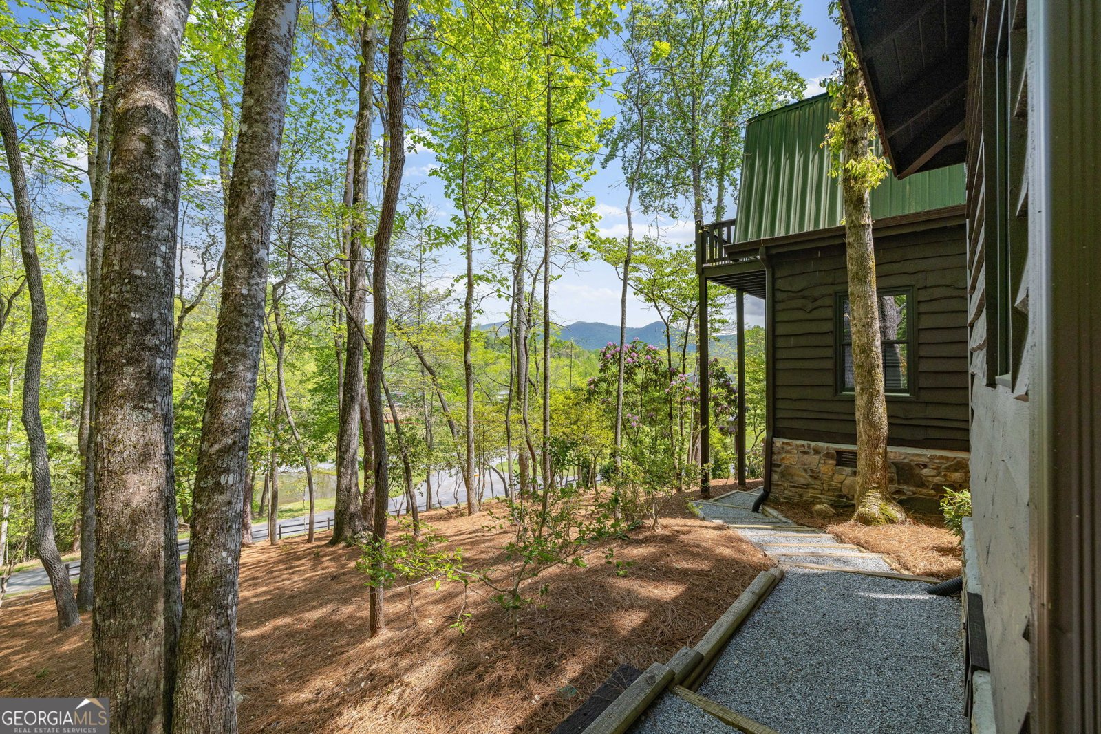 259 Eagle Chase Circle Dillard - 62