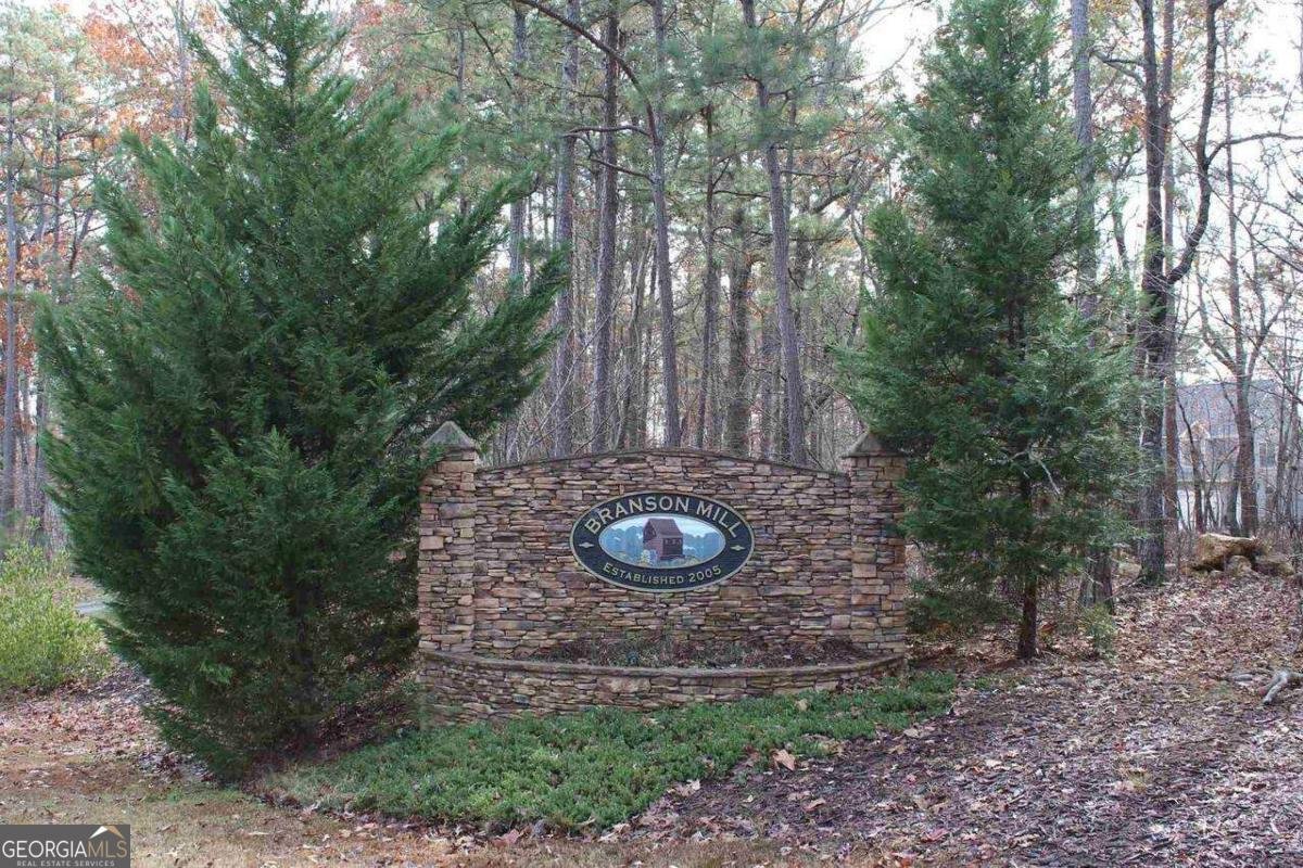 20 Branson Mill Drive Cartersville - 2