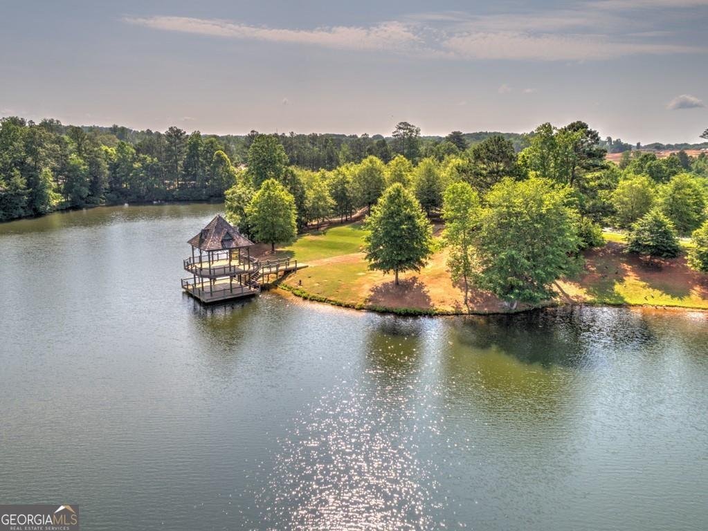 139 Lake Reserve Way Canton - 74