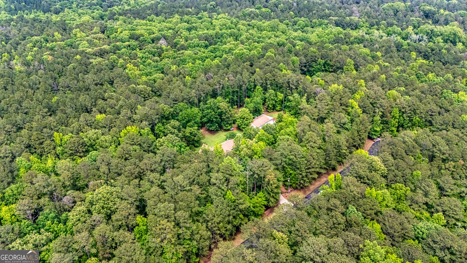 130 Brooklet Way Brooks - 54