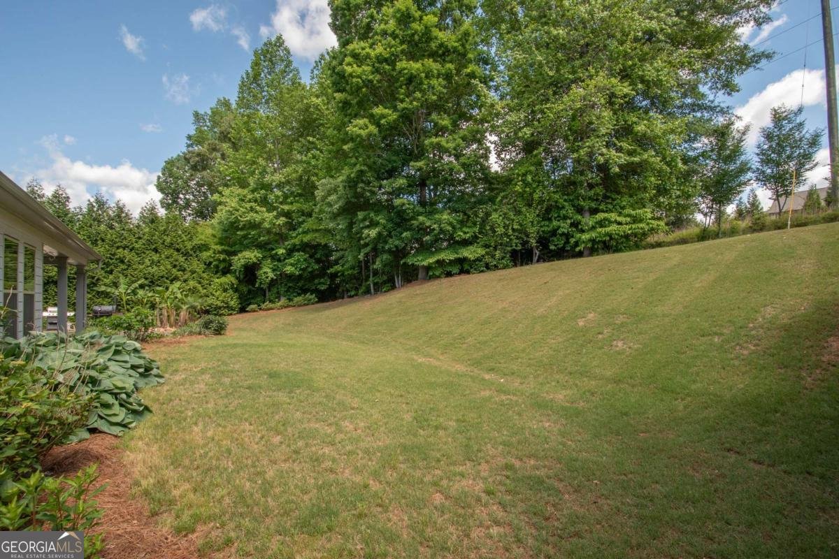 265 RENWICK Drive Senoia - 20