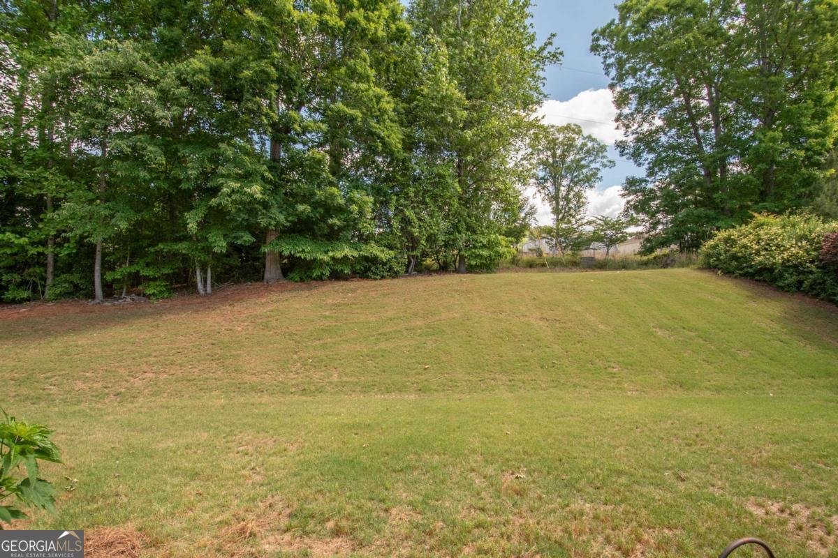 265 RENWICK Drive Senoia - 42