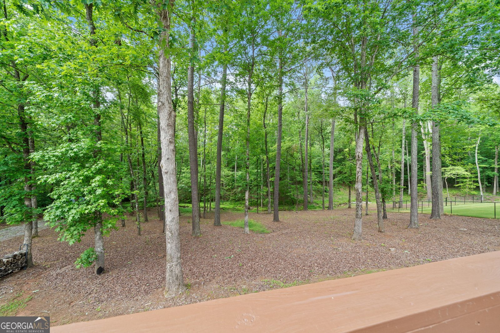 480 Holly Hills Lane McDonough - 43