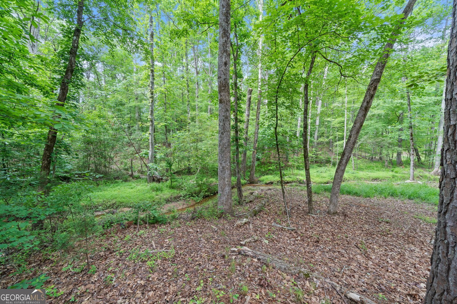 480 Holly Hills Lane McDonough - 46