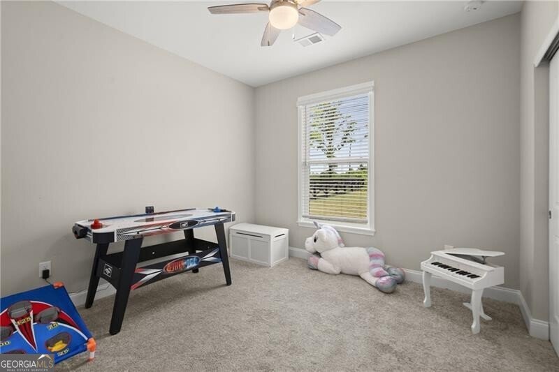 8015 Scenic Ridge Way Ball Ground - 18
