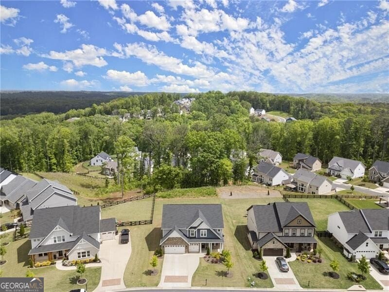 8015 Scenic Ridge Way Ball Ground - 38