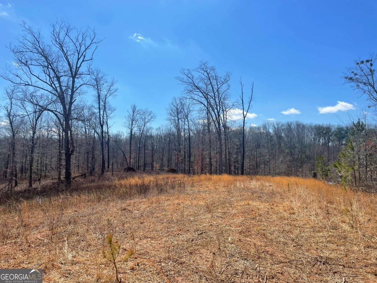 108 Red Plum Drive Ellijay - 4