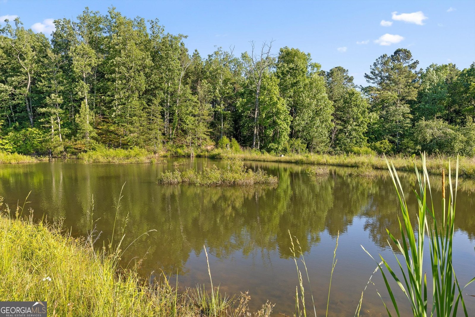 1667 Old Federal Road Chatsworth - 66