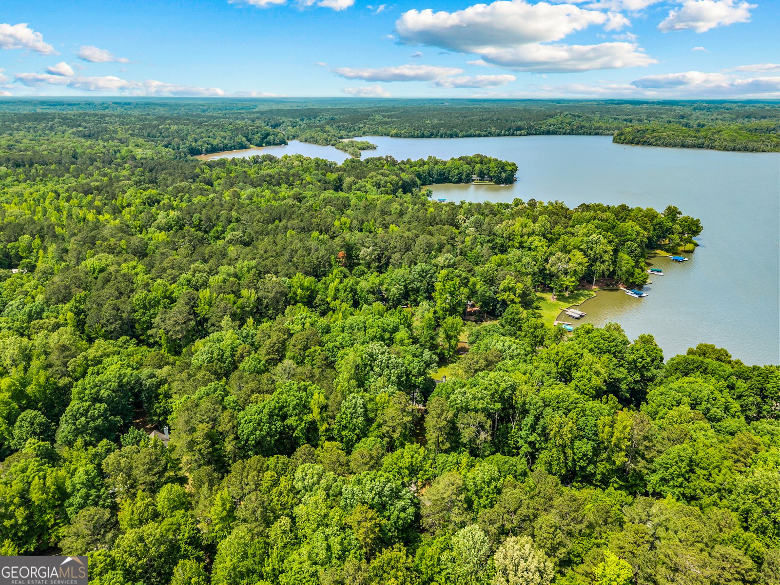 1230 Apalachee Woods Trail Buckhead - 4