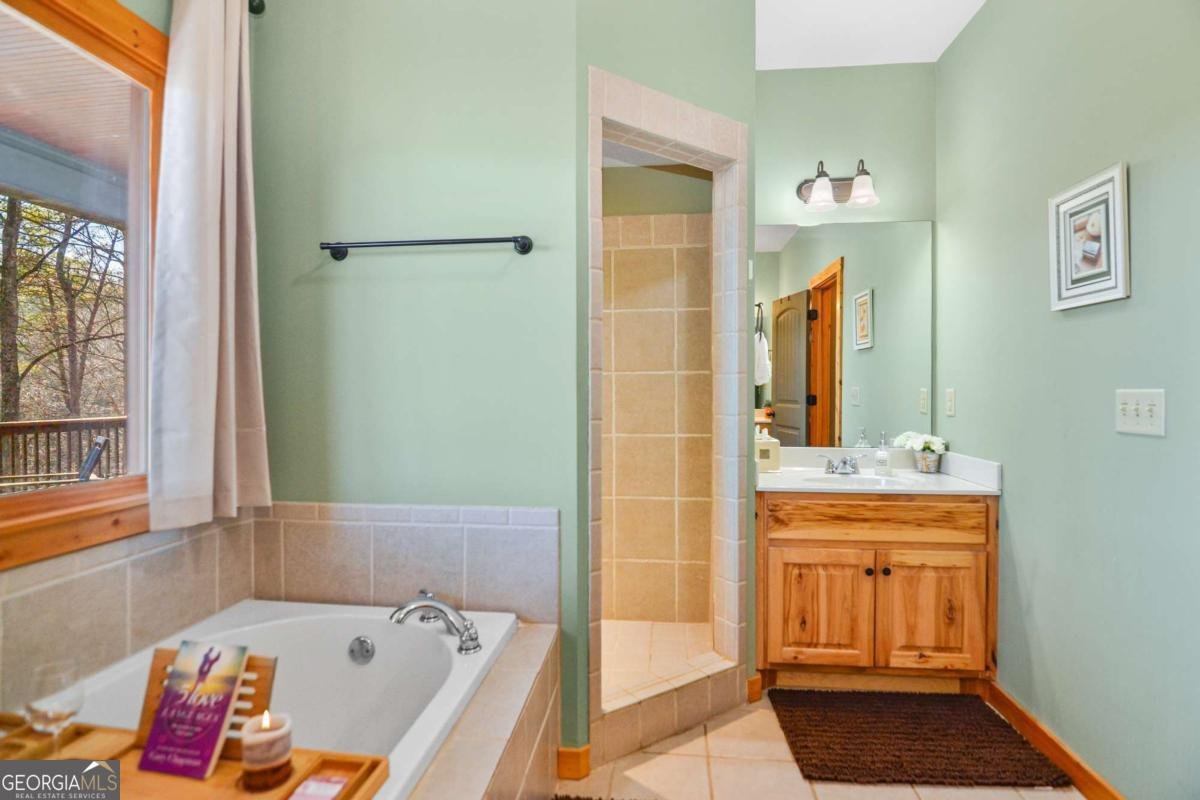 411 Gunite Circle Ellijay - 20