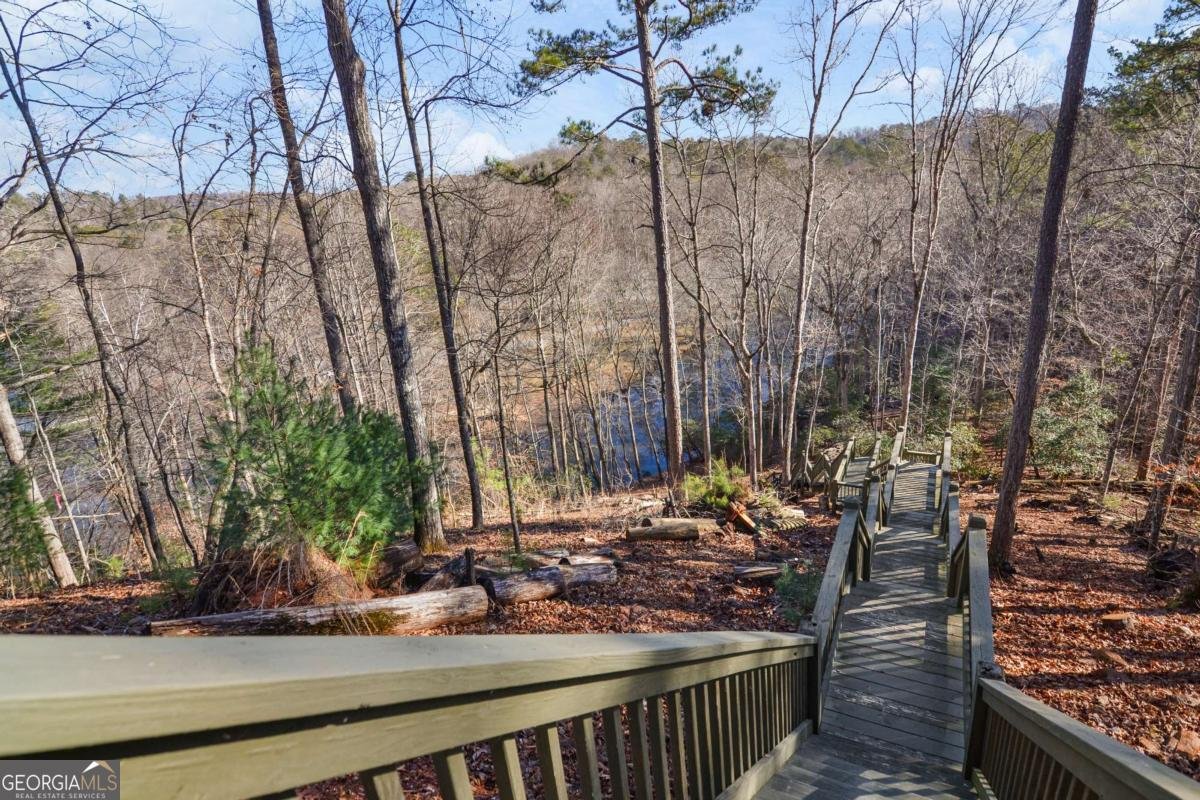 411 Gunite Circle Ellijay - 45
