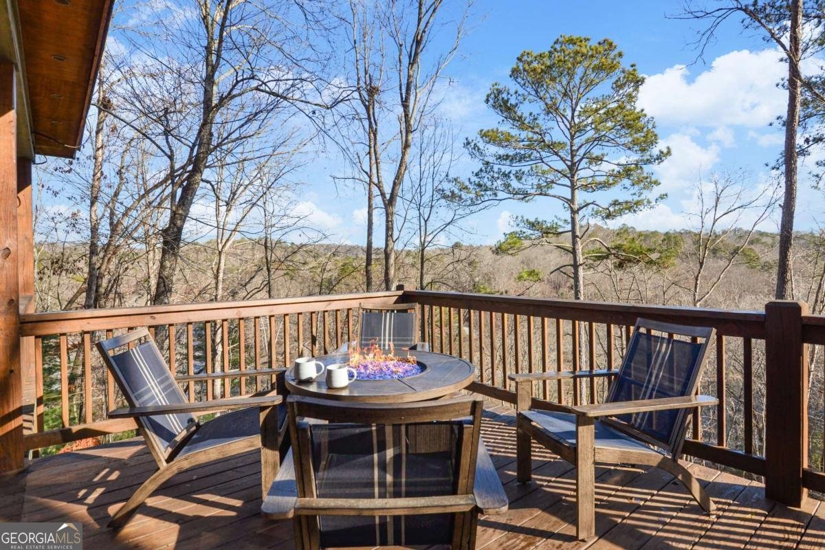 411 Gunite Circle Ellijay - 48