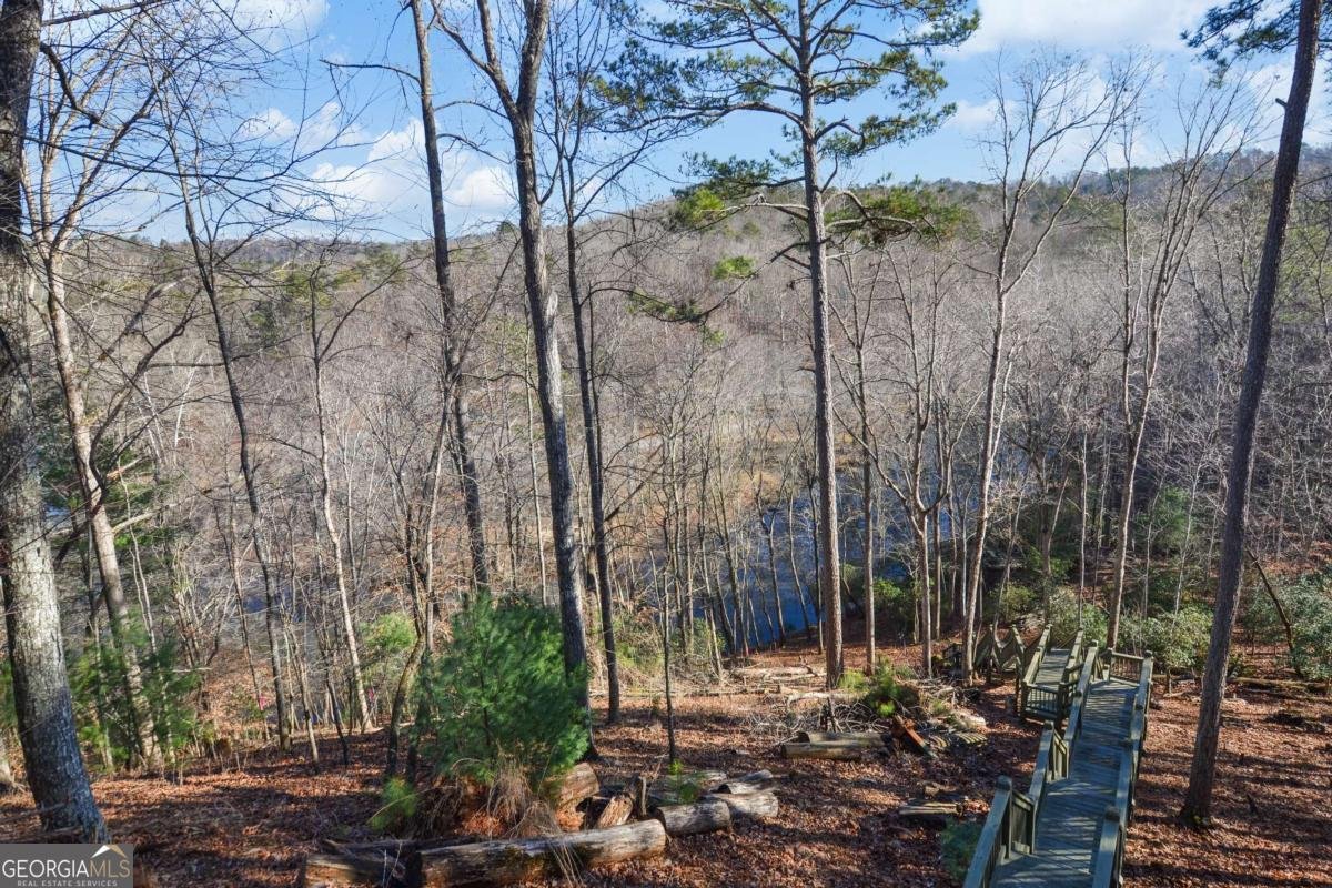 411 Gunite Circle Ellijay - 49
