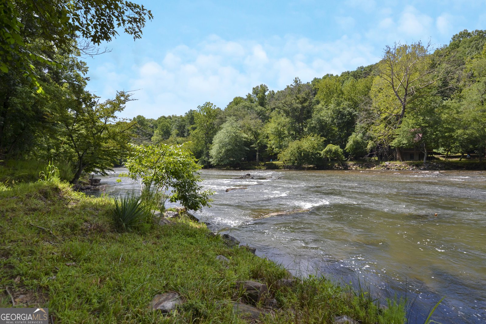 411 Gunite Circle Ellijay - 53