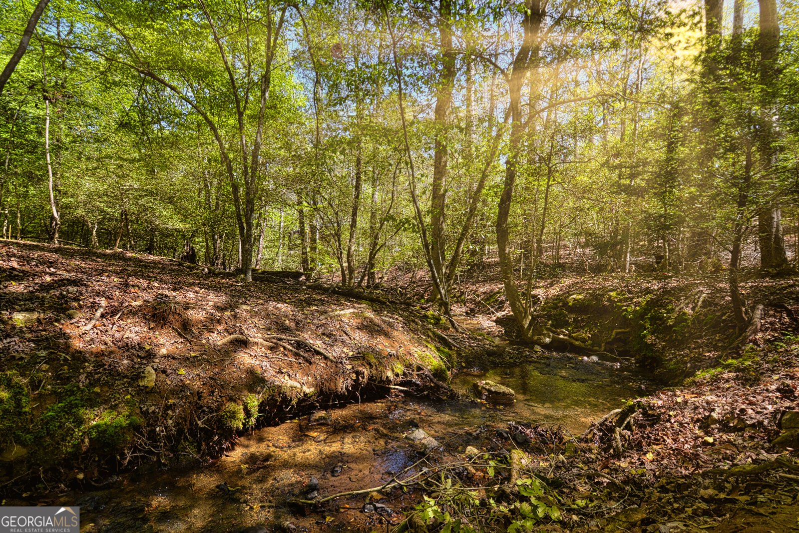 411 Gunite Circle Ellijay - 56