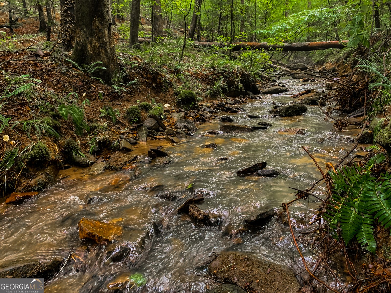 411 Gunite Circle Ellijay - 81
