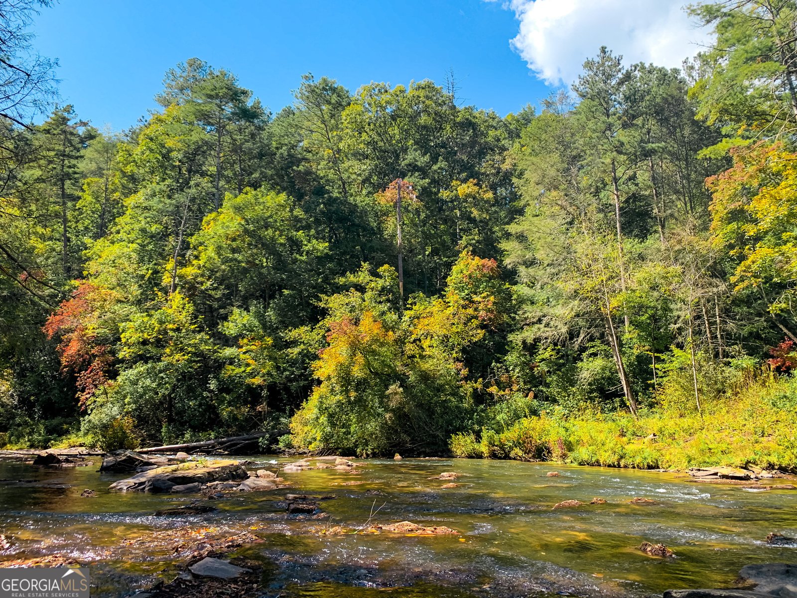 411 Gunite Circle Ellijay - 82